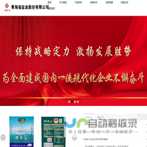 青海省盐业股份有限公司